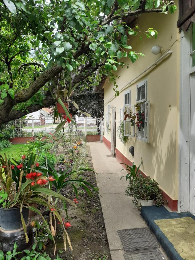 Marika Vendeghaz Apartment Abádszalók Екстериор снимка