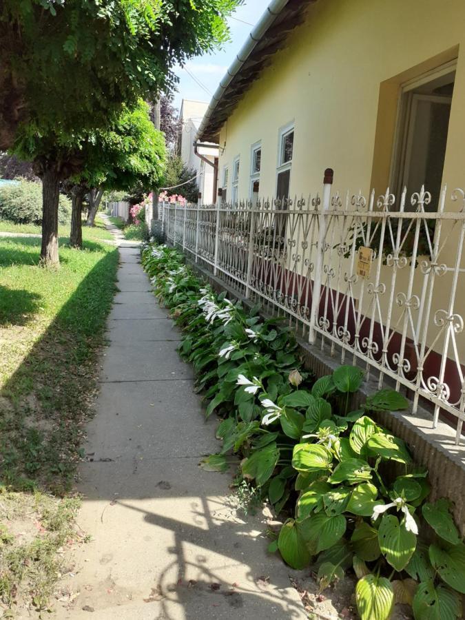 Marika Vendeghaz Apartment Abádszalók Екстериор снимка