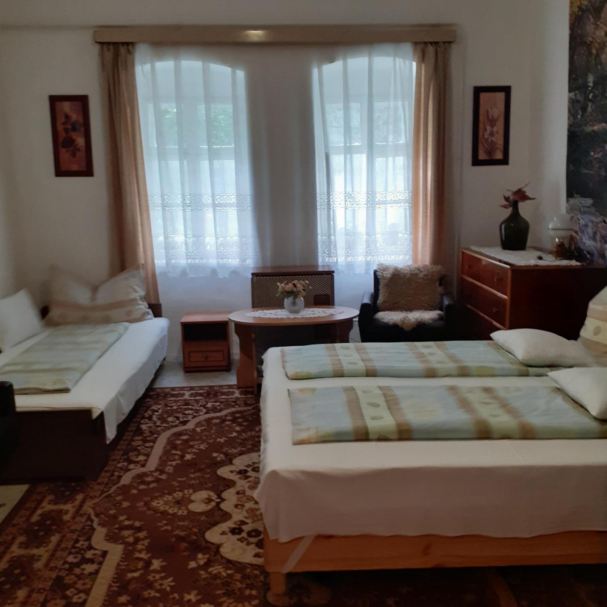 Marika Vendeghaz Apartment Abádszalók Екстериор снимка