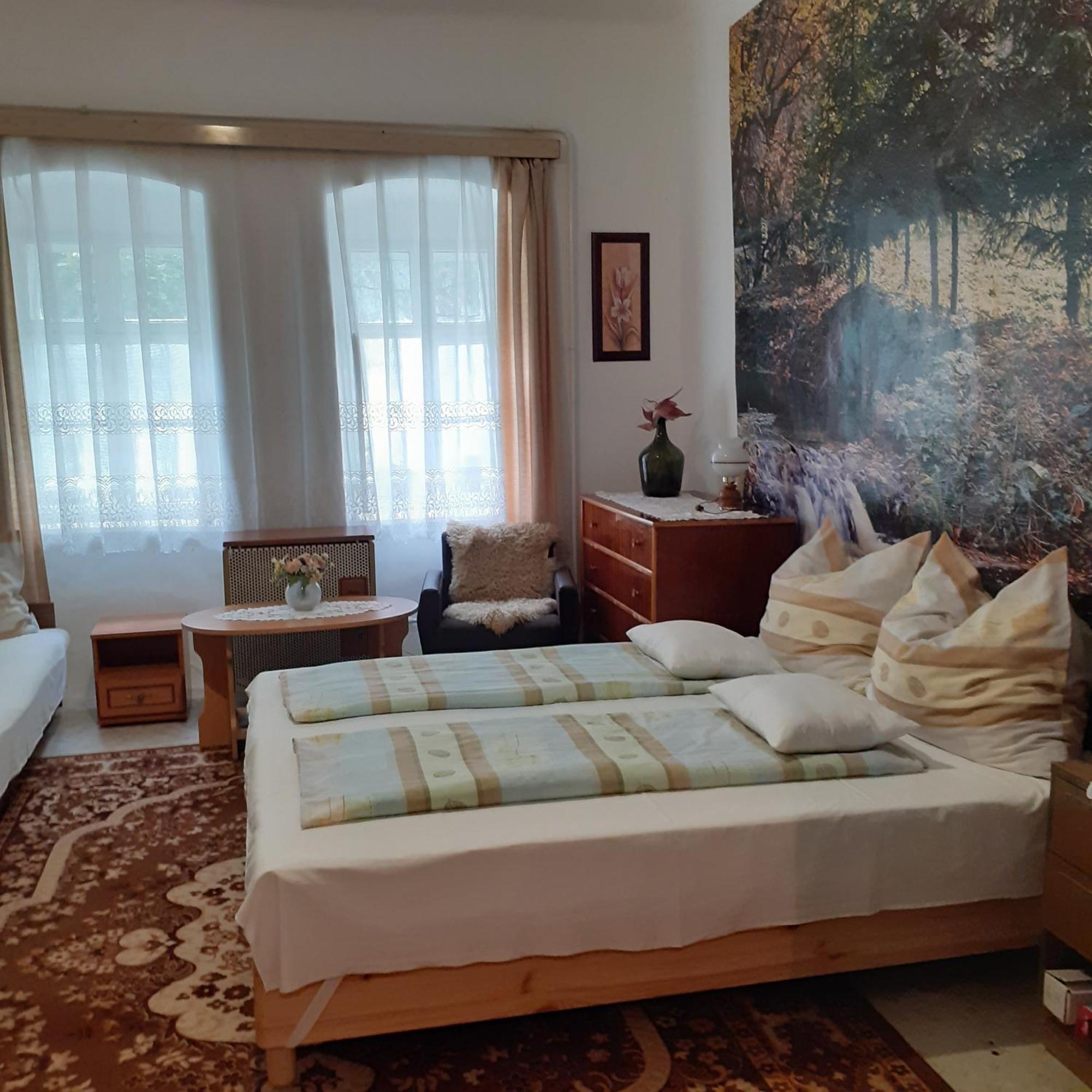 Marika Vendeghaz Apartment Abádszalók Екстериор снимка