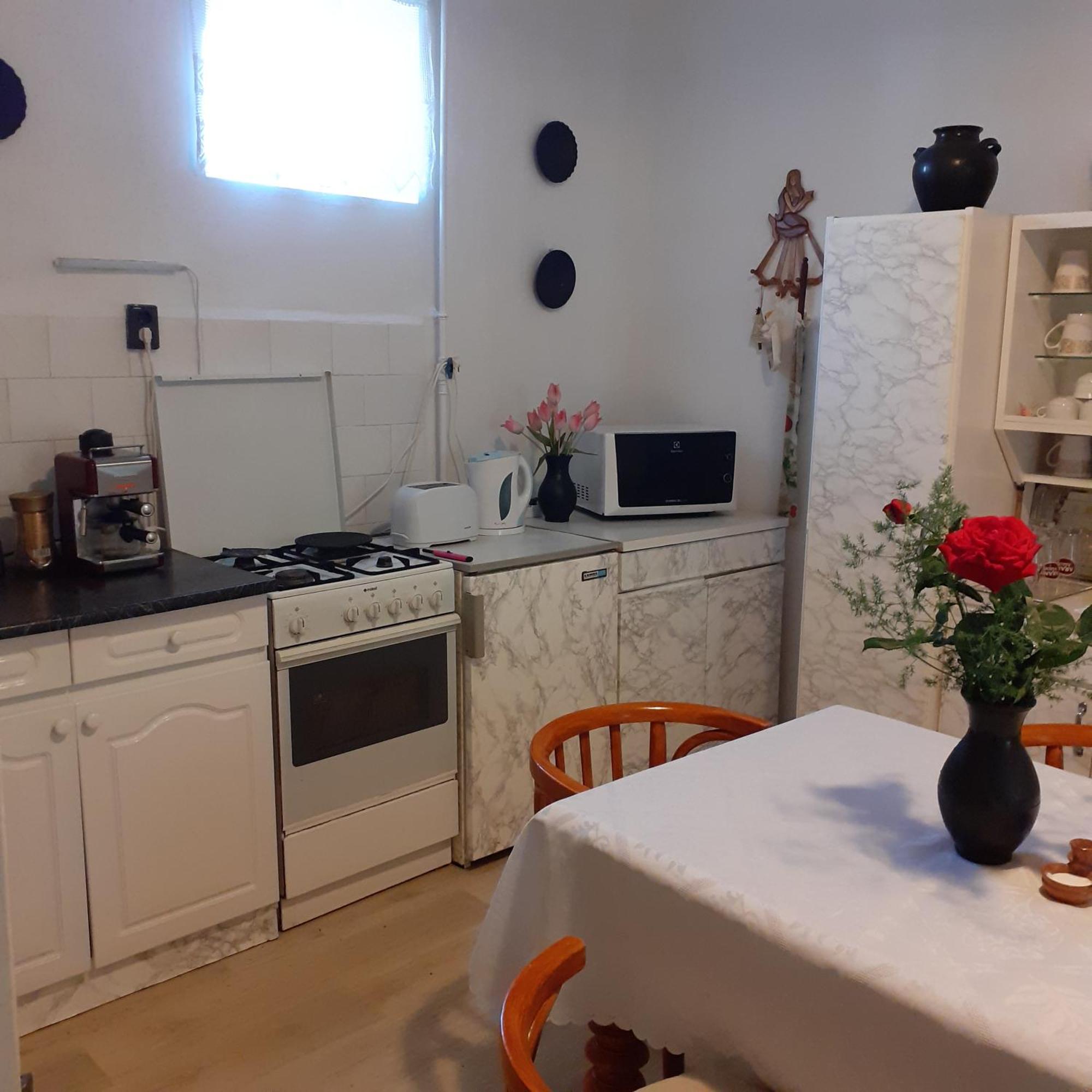 Marika Vendeghaz Apartment Abádszalók Екстериор снимка
