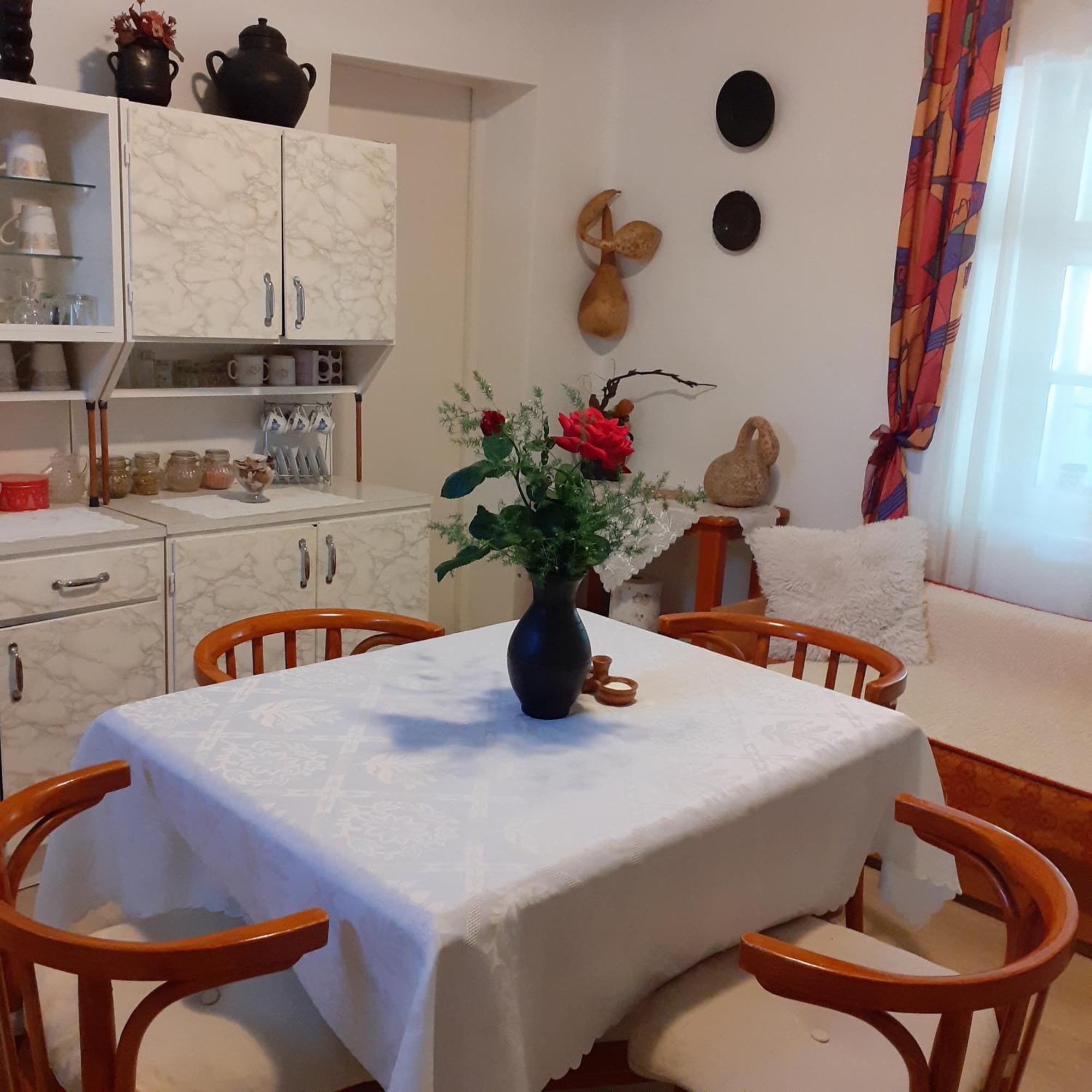 Marika Vendeghaz Apartment Abádszalók Екстериор снимка