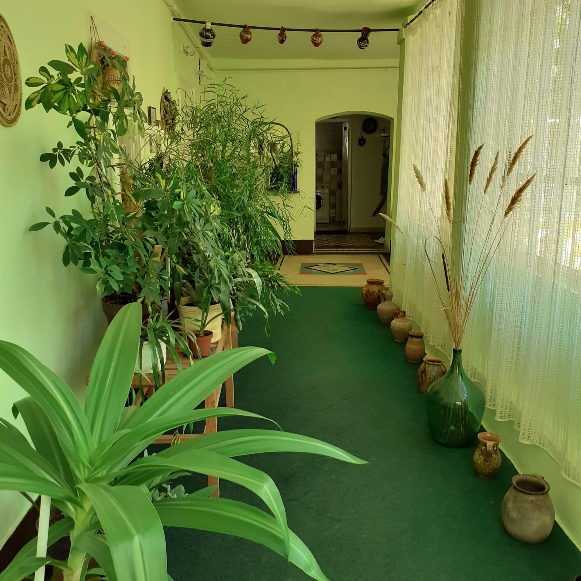 Marika Vendeghaz Apartment Abádszalók Екстериор снимка