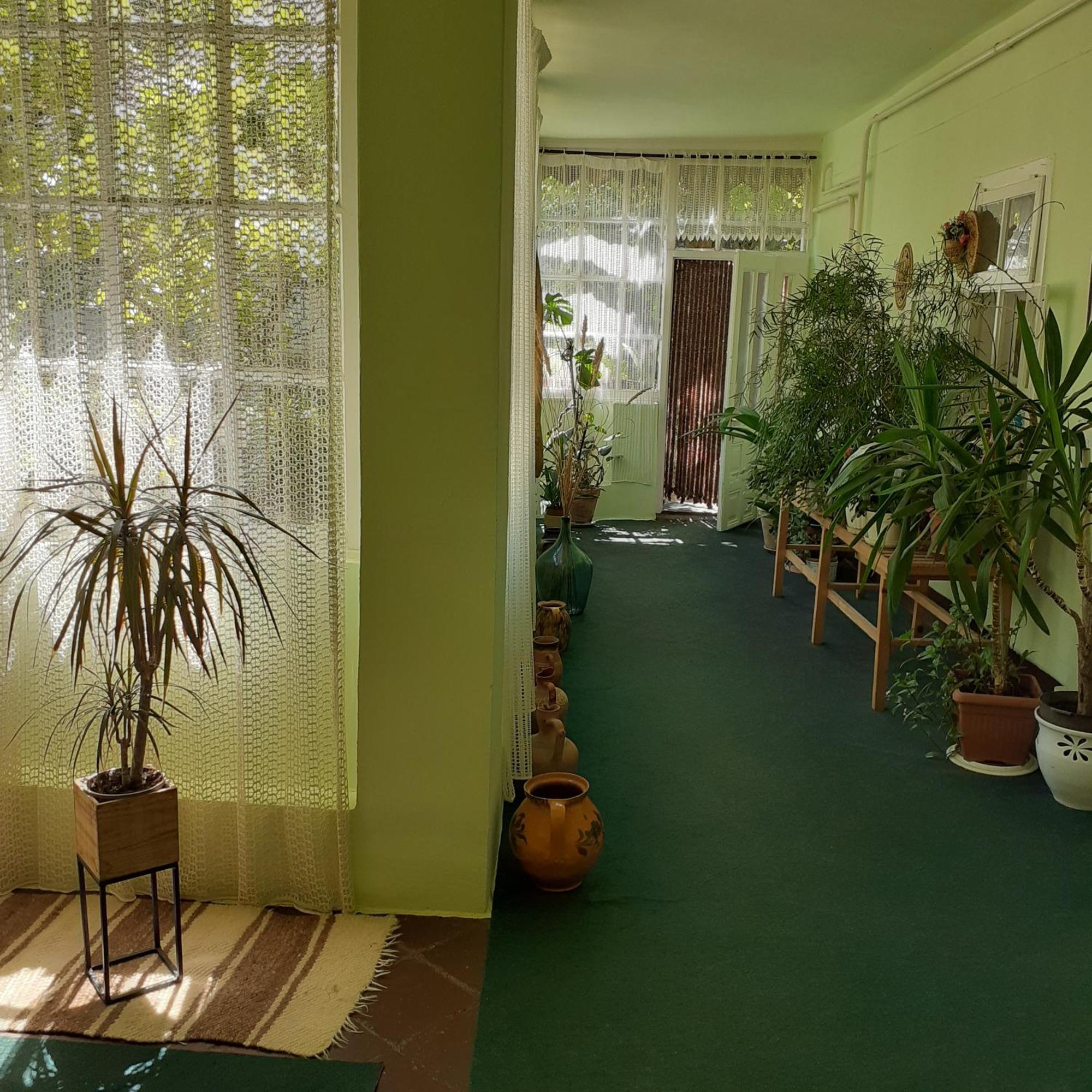 Marika Vendeghaz Apartment Abádszalók Екстериор снимка